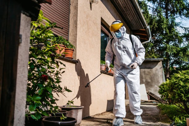 Best Mosquito Control Services  in Castle Pines Village, CO
