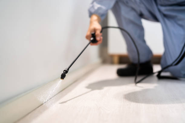 Best Best Pest Control Companies  in Castle Pines Village, CO