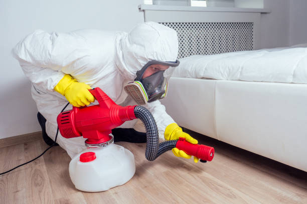 Best Local Pest Control Services  in Castle Pines Village, CO